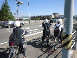 横断歩道での様子